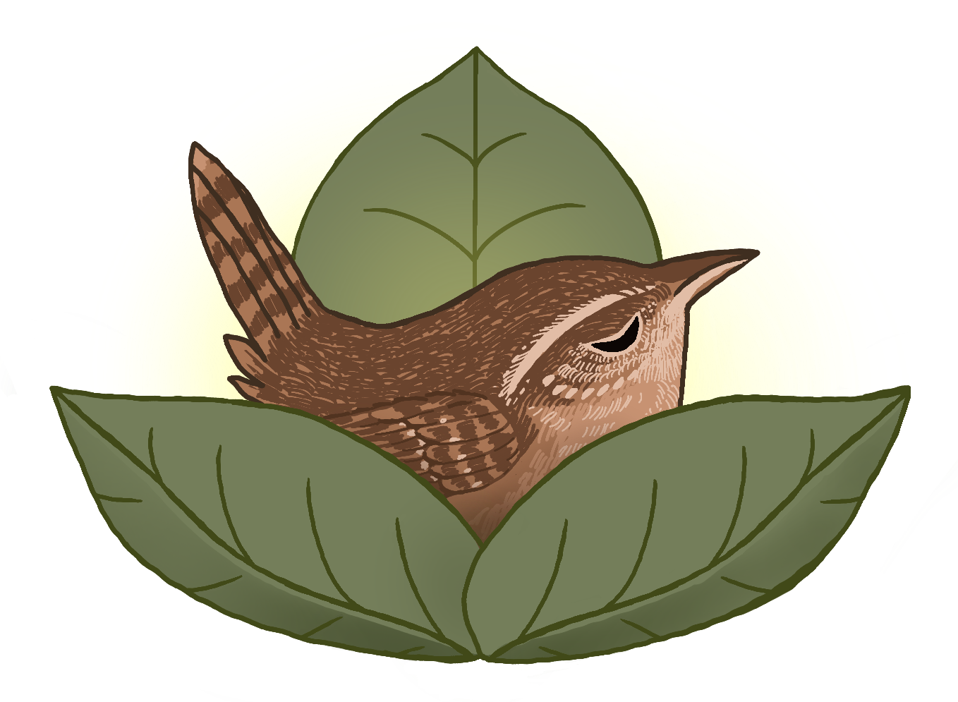 Resting Wren Massage Therapy
